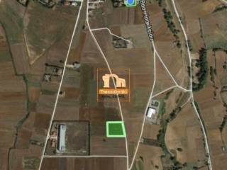 Άσσηρος, Αγροτεμάχιο, 4.428 τ.μ.