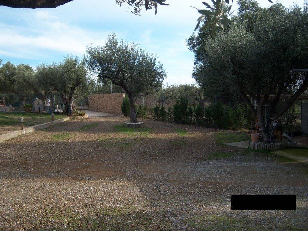 Maisonette - Grekodom 54608|787024