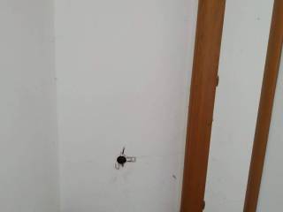 Maisonette - Grekodom 52464|764519