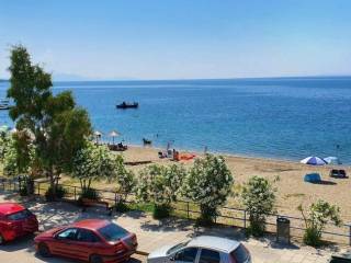 Apartment - Grekodom 56014|794303