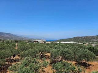 Villa - Grekodom 54729|789343