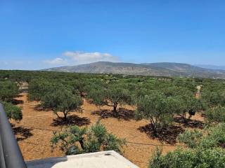 Villa - Grekodom 54729|789338