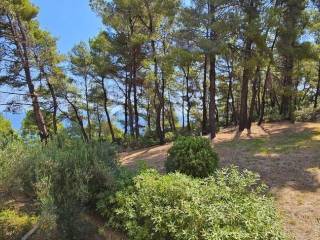 Maisonette - Grekodom 56169|796730