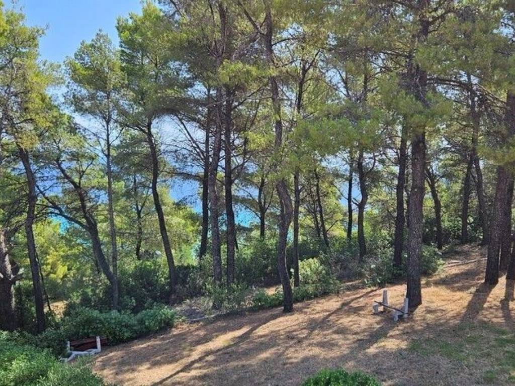 Maisonette - Grekodom 56169|796738