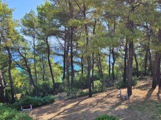 Maisonette - Grekodom 56169|796738