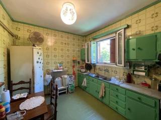 Detached - Grekodom 56361|800656