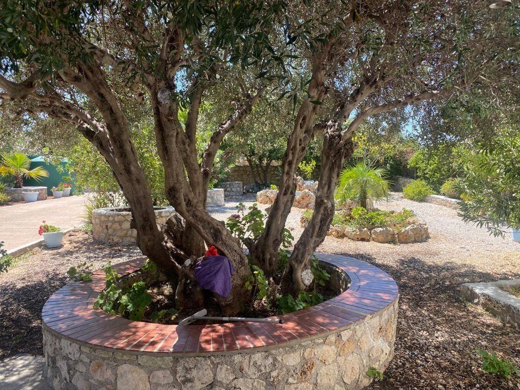 Villa - Grekodom 56208|797464