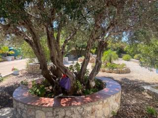 Villa - Grekodom 56208|797464