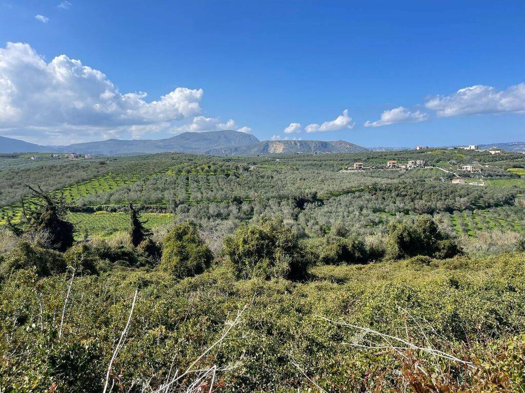 Plot - Grekodom 56612|960430