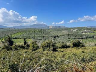 Plot - Grekodom 56612|960430