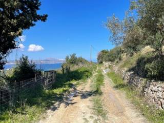 Plot - Grekodom 56612|960431