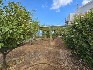 Detached - Grekodom 56672|806462