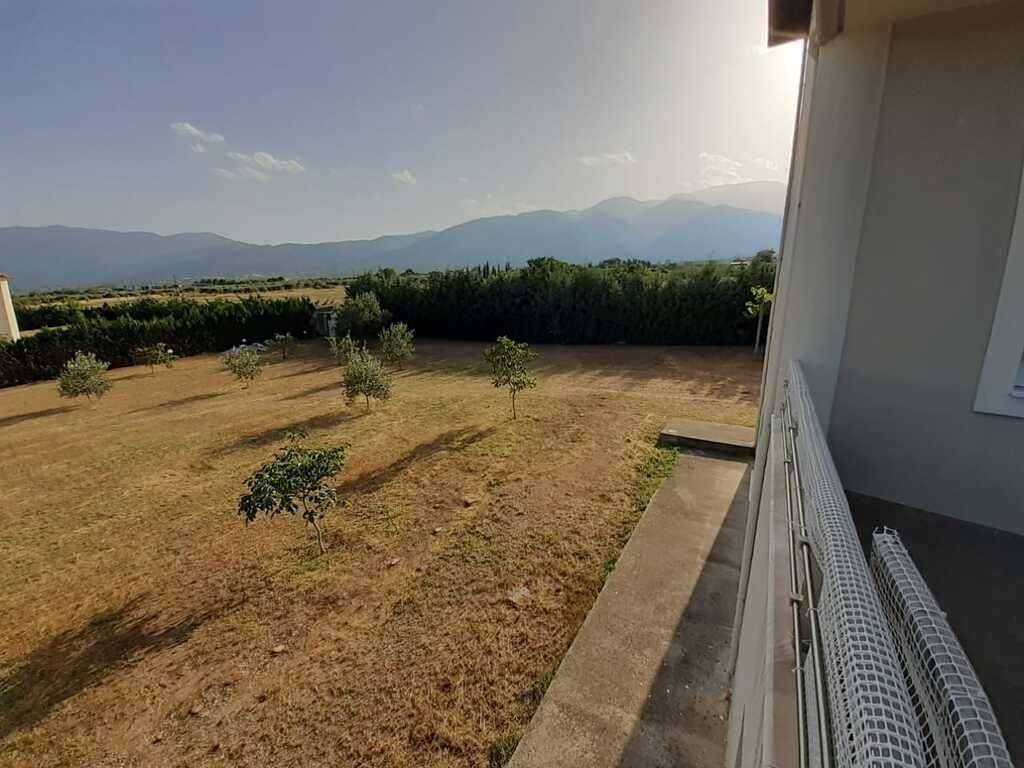 Detached - Grekodom 56766|808366