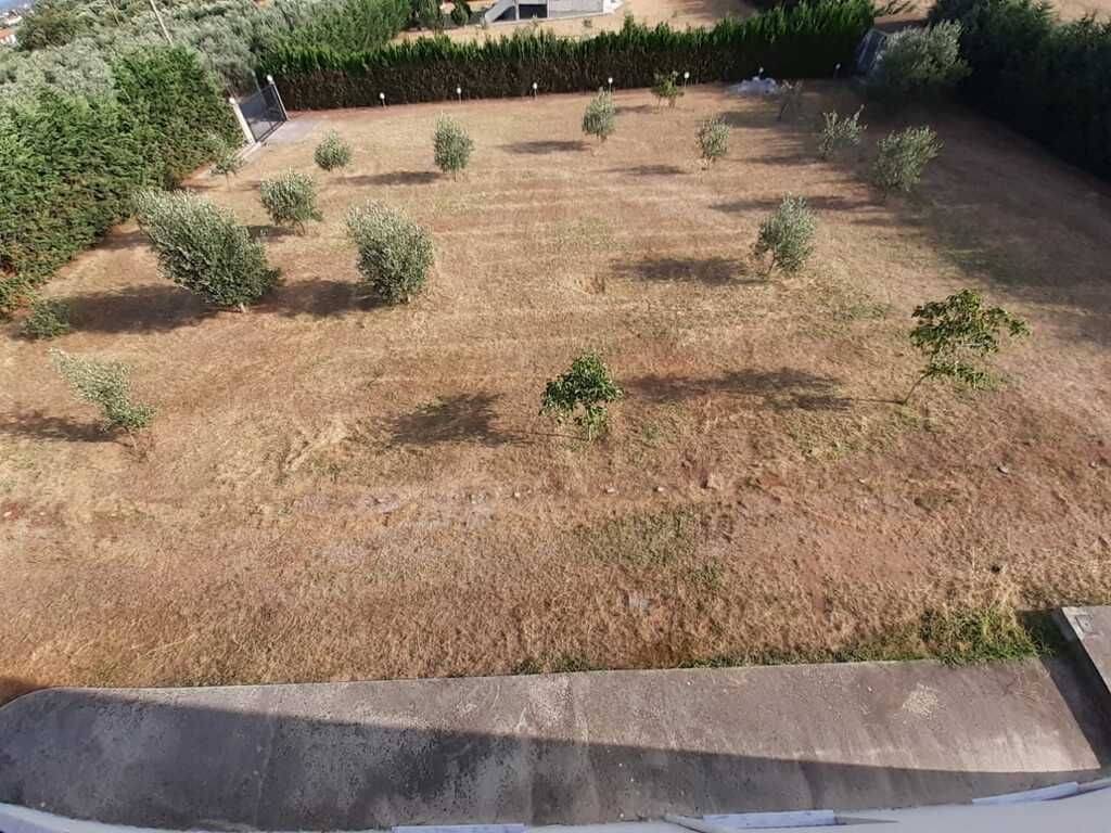 Detached - Grekodom 56766|808357