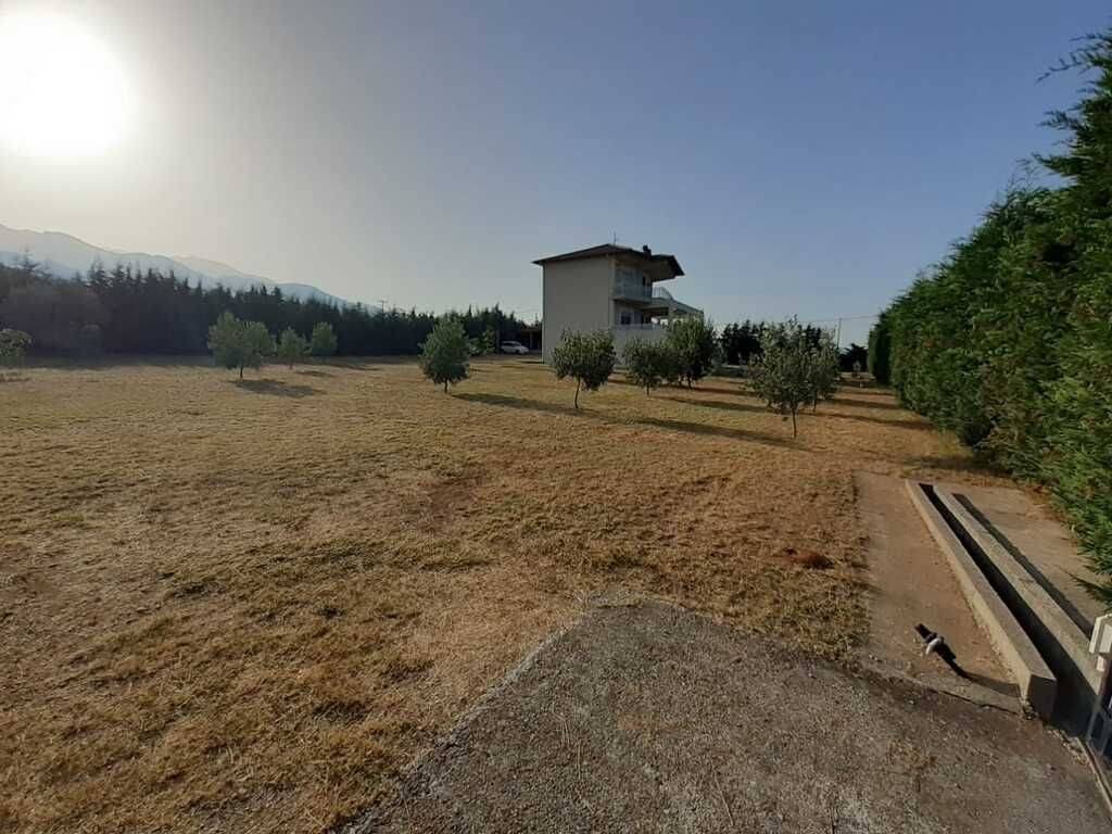 Detached - Grekodom 56766|808356