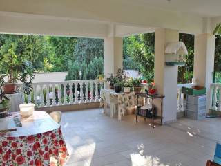 Detached - Grekodom 56777|808814