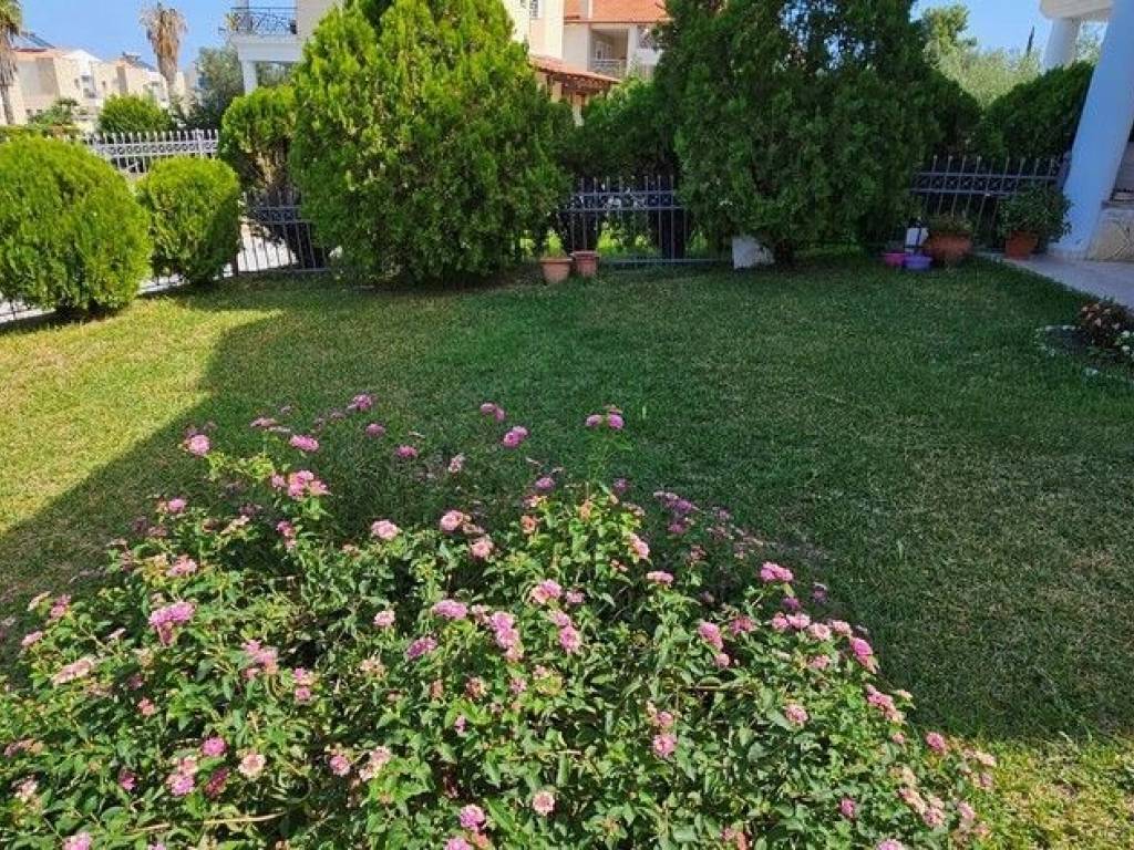 Maisonette - Grekodom 56638|805847