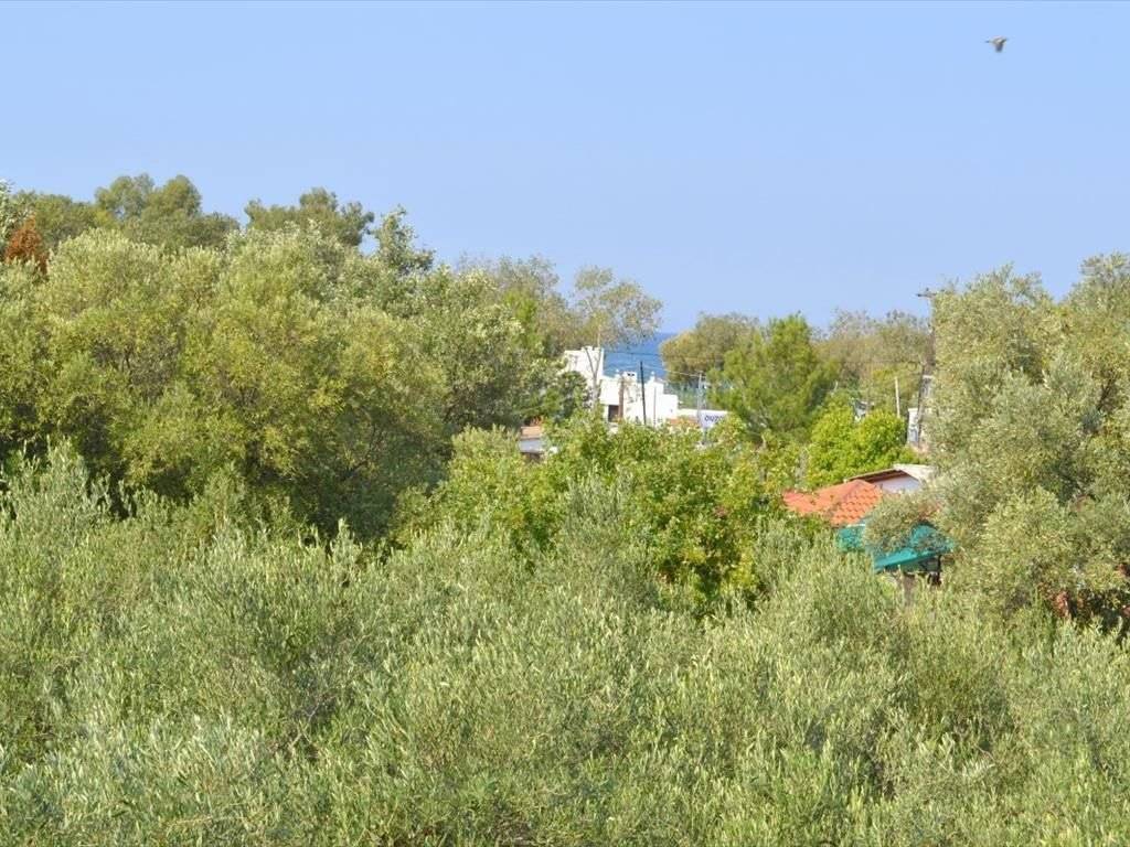 Detached - Grekodom 20012|254034