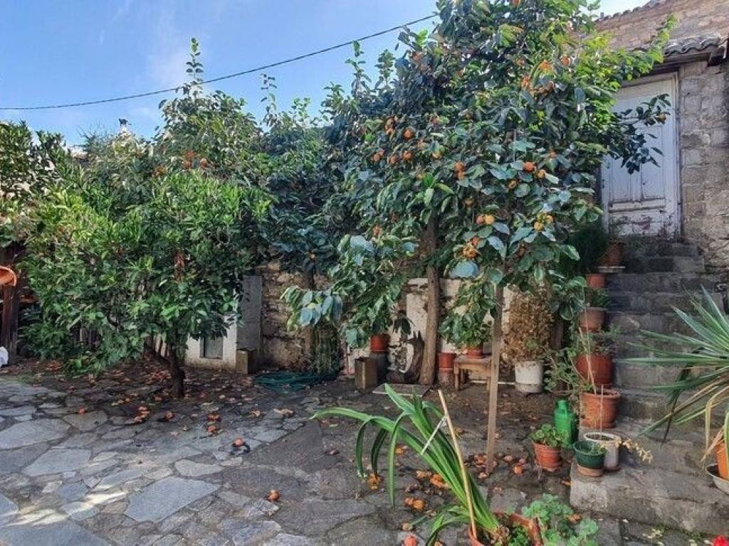 Detached - Grekodom 56989|811811