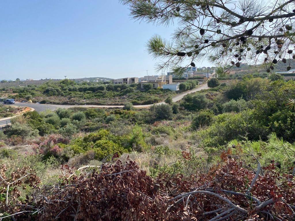 Plot - Grekodom 56977|811661