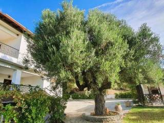 Villa - Grekodom 57043|812604