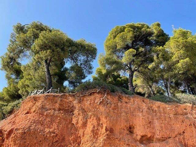 Apartment - Grekodom 57199|820128