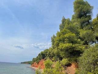 Apartment - Grekodom 57199|820142