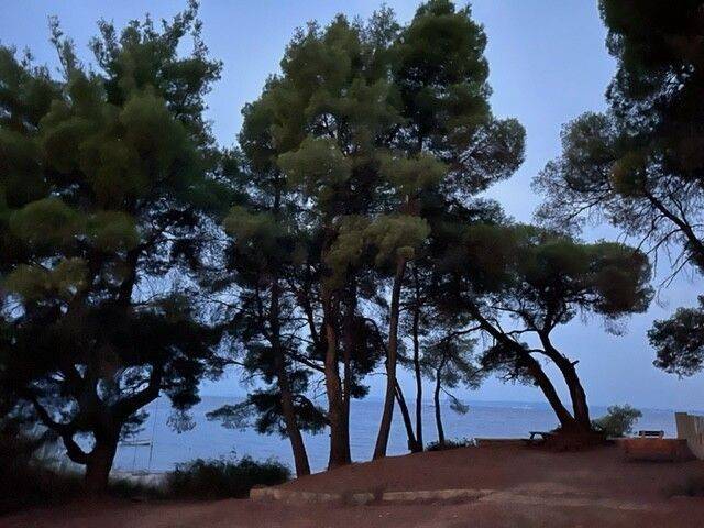 Apartment - Grekodom 57199|820143