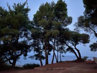 Apartment - Grekodom 57199|820143