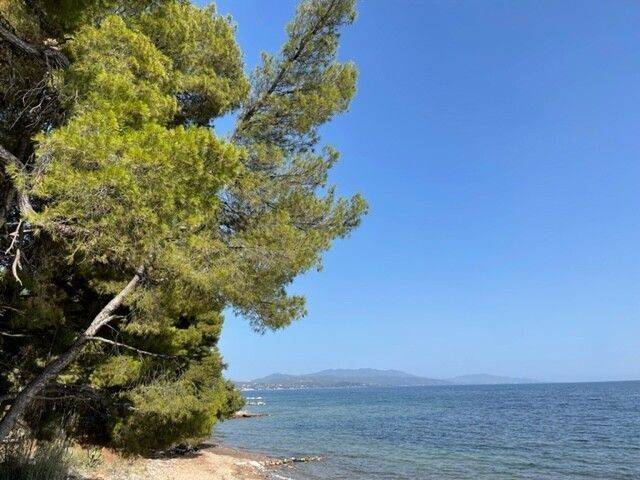 Apartment - Grekodom 57199|820144