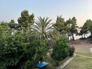 Apartment - Grekodom 57199|820149