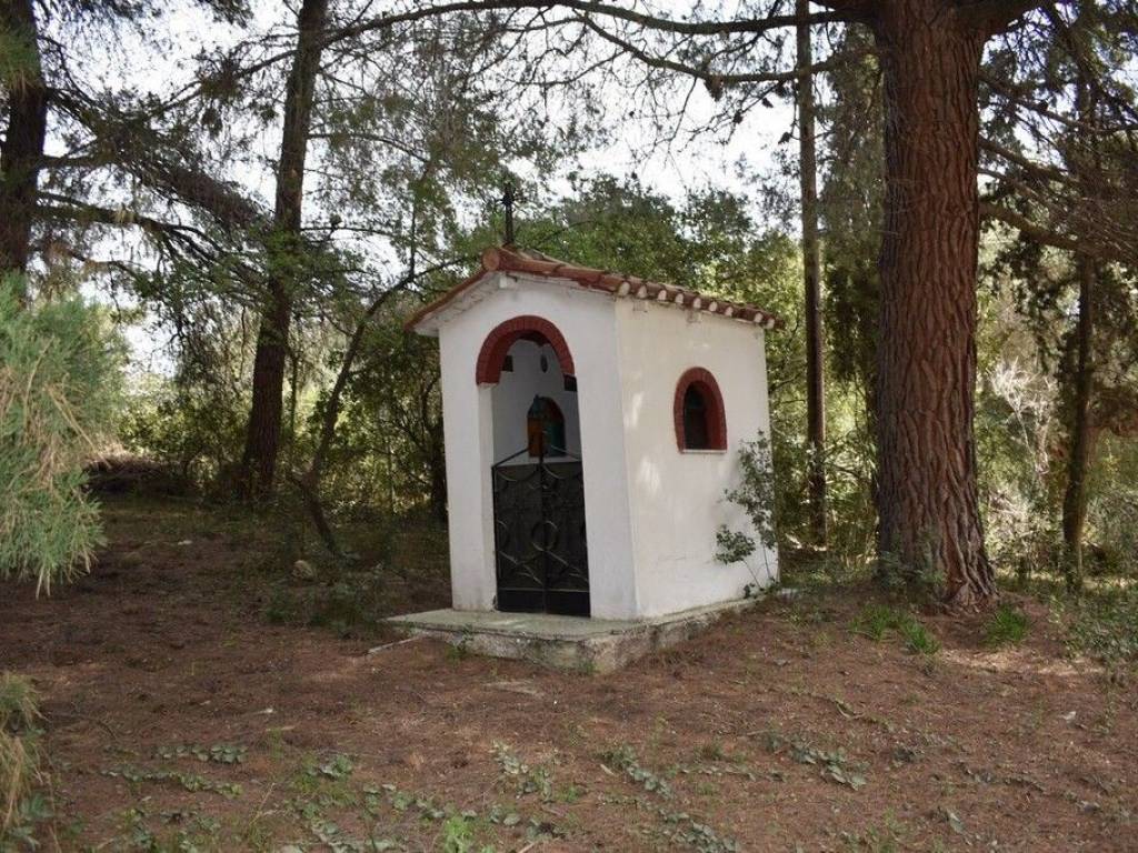 Apartment - Grekodom 57200|820234