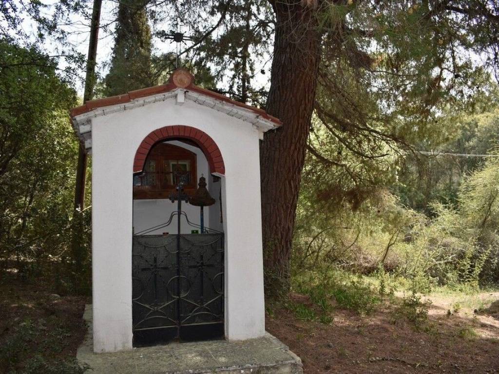 Apartment - Grekodom 57200|820235