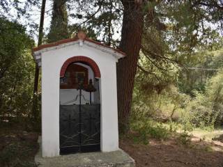 Apartment - Grekodom 57200|820235