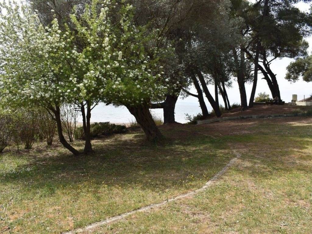 Apartment - Grekodom 57200|820237