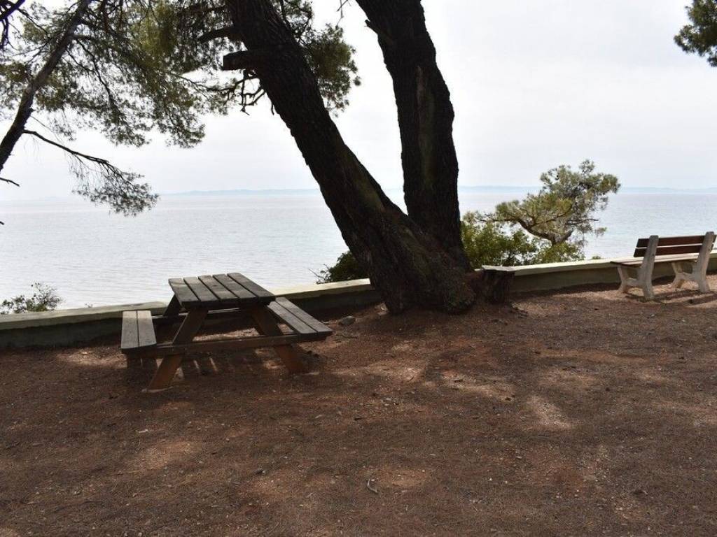 Apartment - Grekodom 57200|820239