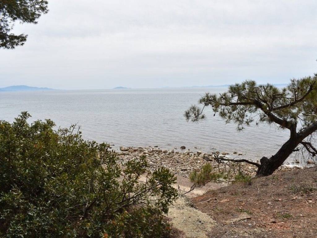 Apartment - Grekodom 57200|820240