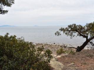 Apartment - Grekodom 57200|820240