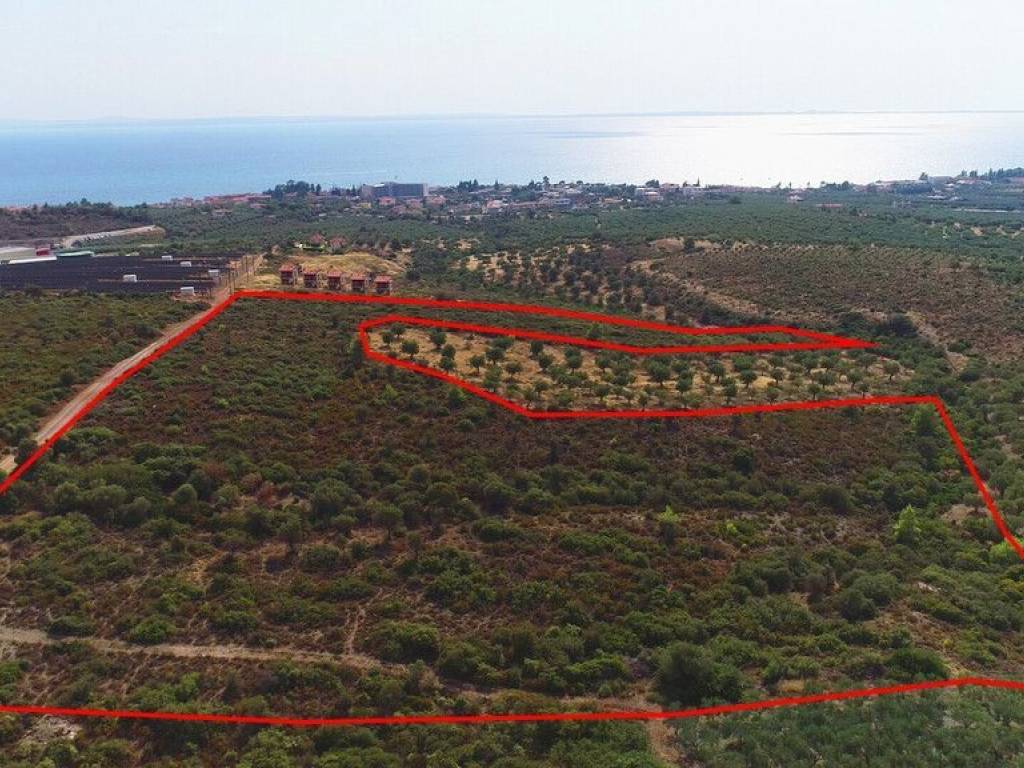 Plot - Grekodom 57227|815834