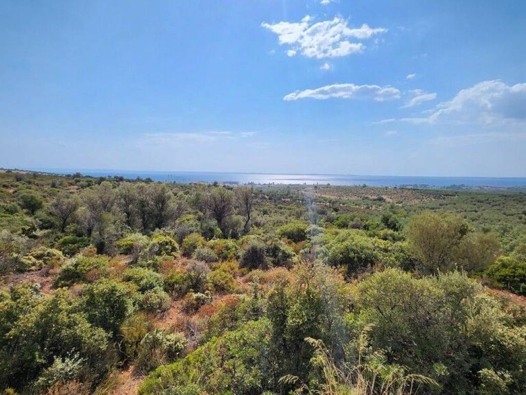 Plot - Grekodom 57227|839313