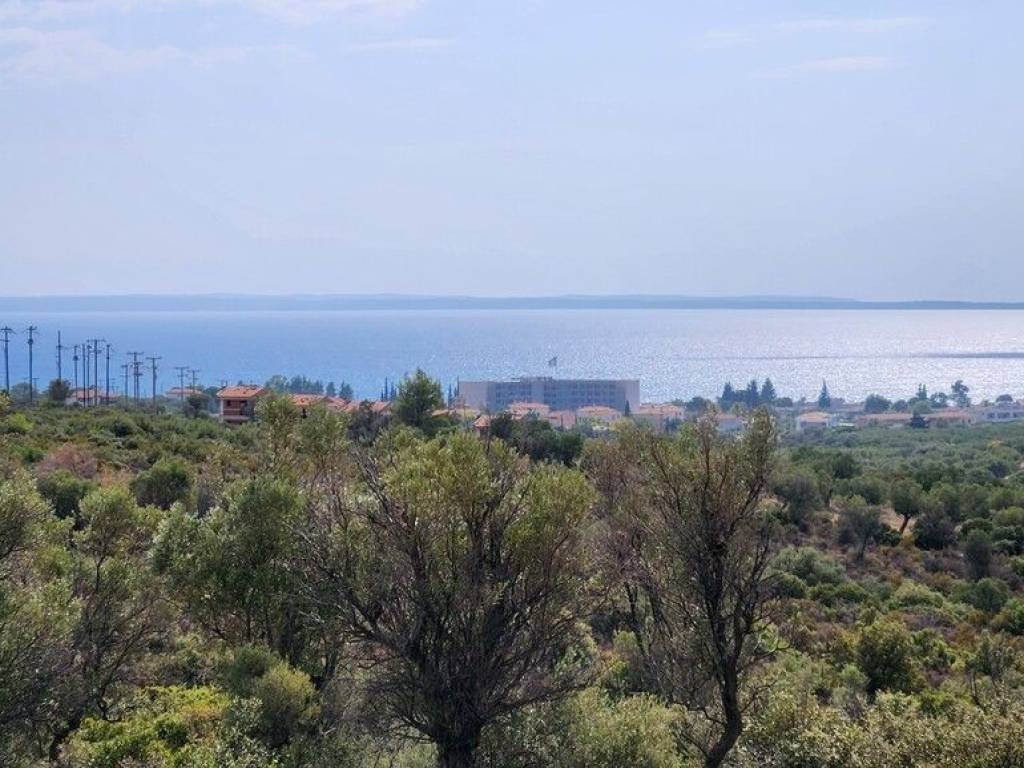 Plot - Grekodom 57227|839314