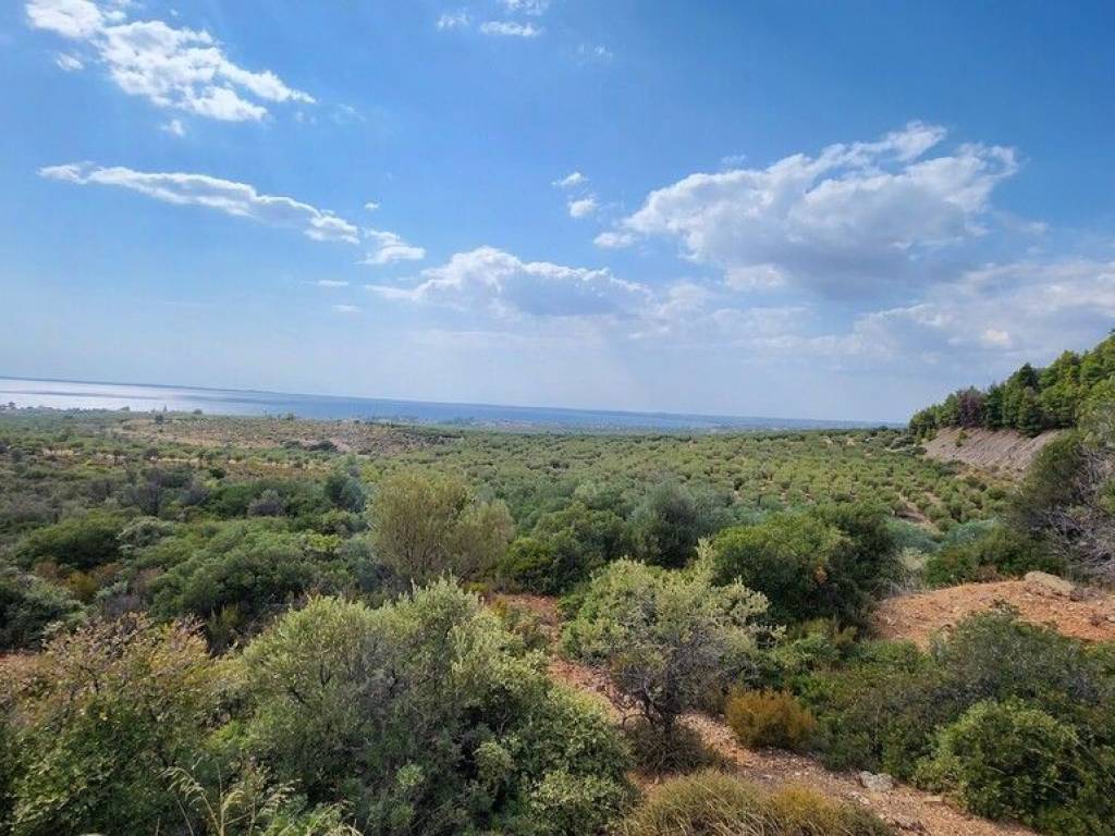 Plot - Grekodom 57227|839316