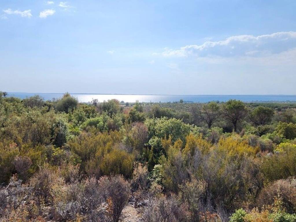 Plot - Grekodom 57227|839317