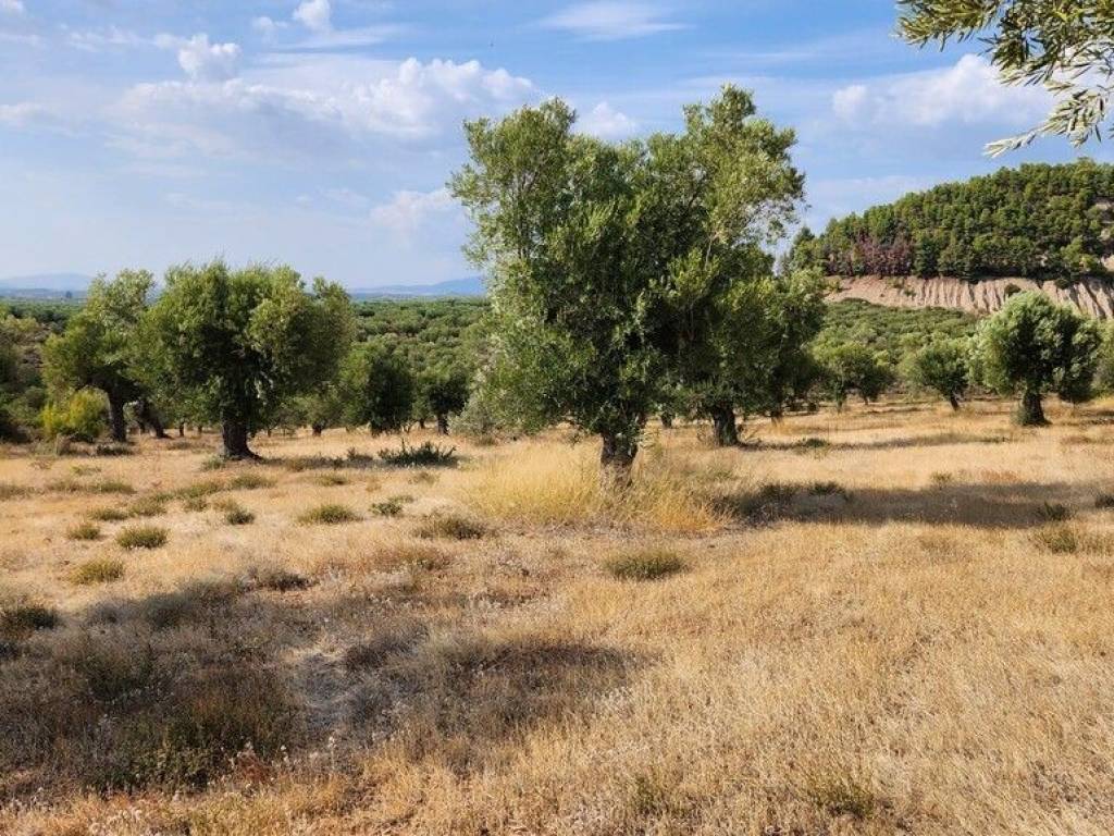 Plot - Grekodom 57227|839320