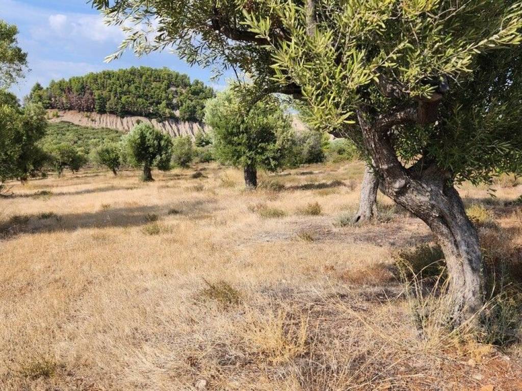 Plot - Grekodom 57227|839321