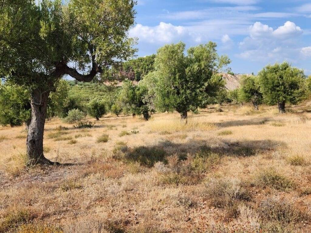 Plot - Grekodom 57227|839322