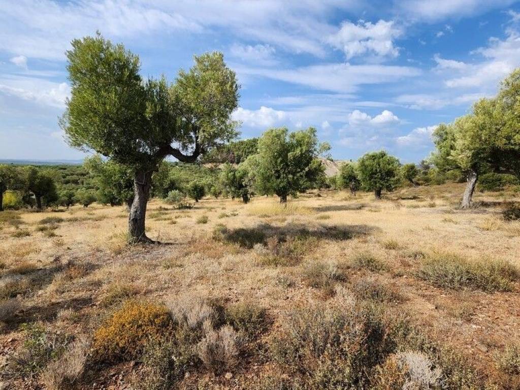 Plot - Grekodom 57227|839323