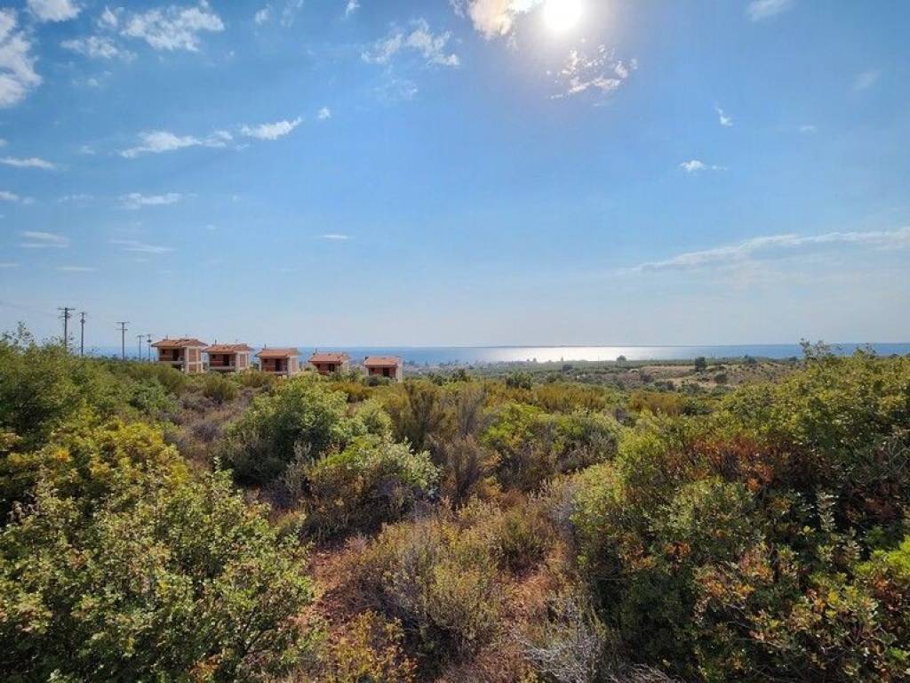 Plot - Grekodom 57227|839325