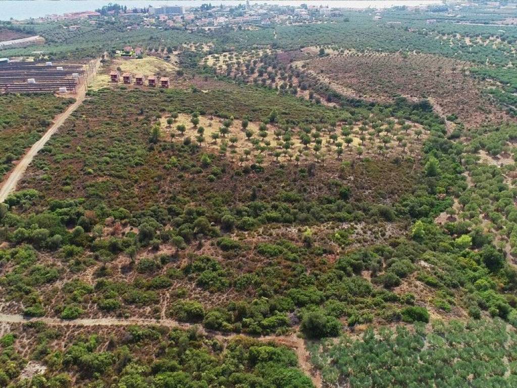 Plot - Grekodom 57227|839326