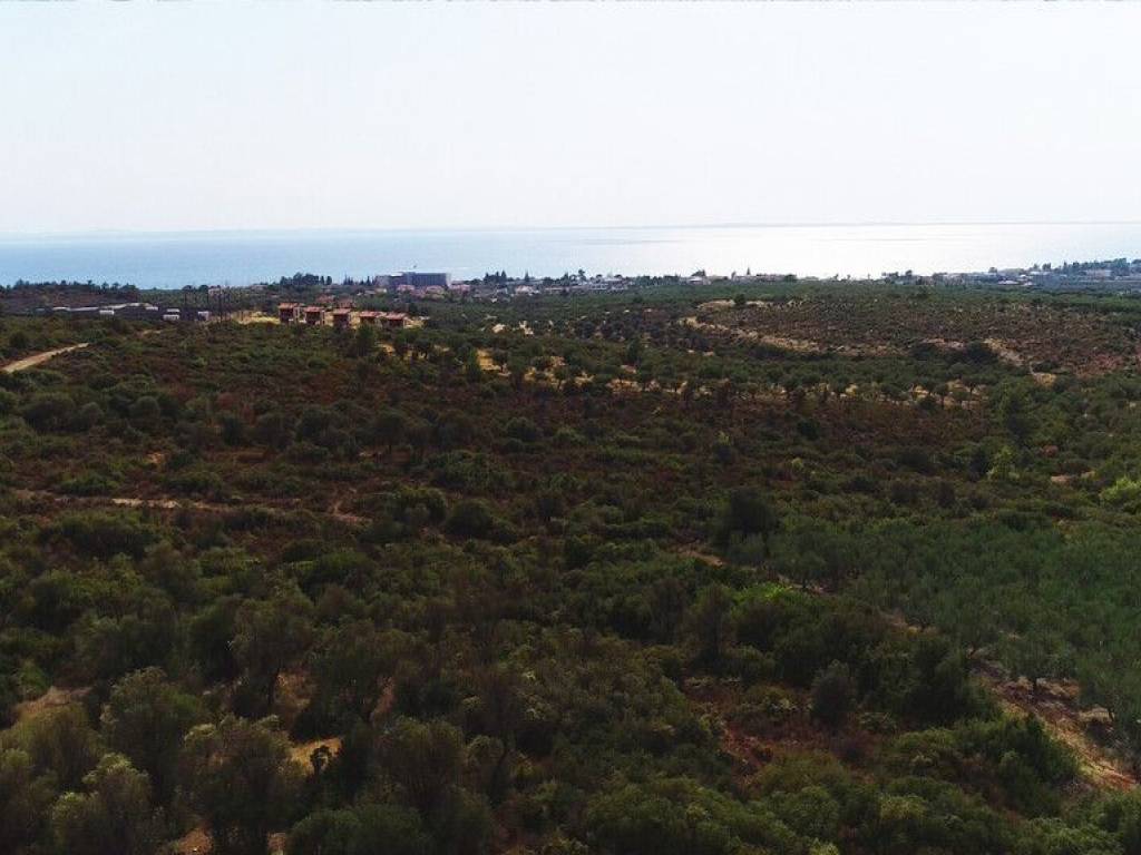 Plot - Grekodom 57227|839327